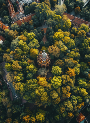 Ogród z widokiem od góry